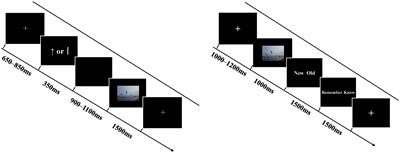 Mutual Influence of Reward Anticipation and Emotion on Brain Activity during Memory Retrieval